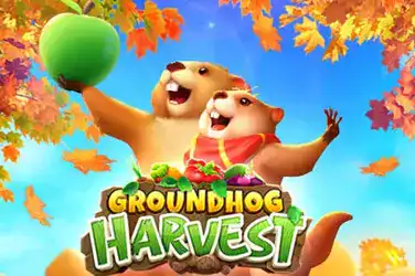 Groundhog